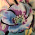 Smoky Mountain Rose