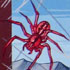 spider