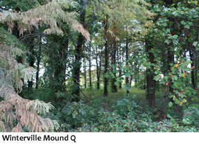 Winterville Mound Q